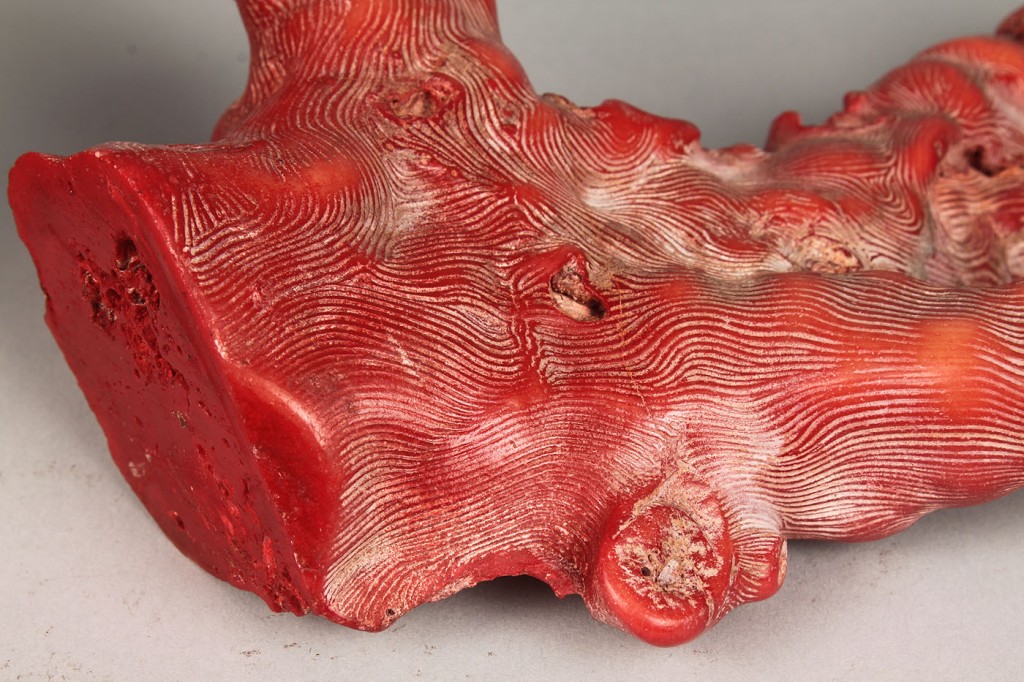 Lot 533: 2 soapstone wax seals & 3 Natural Corals