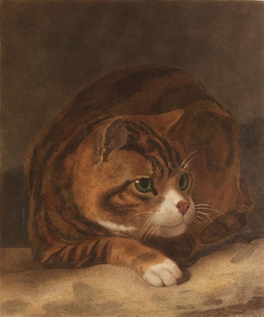 Lot 166: Three 19th Century Cat Engravings