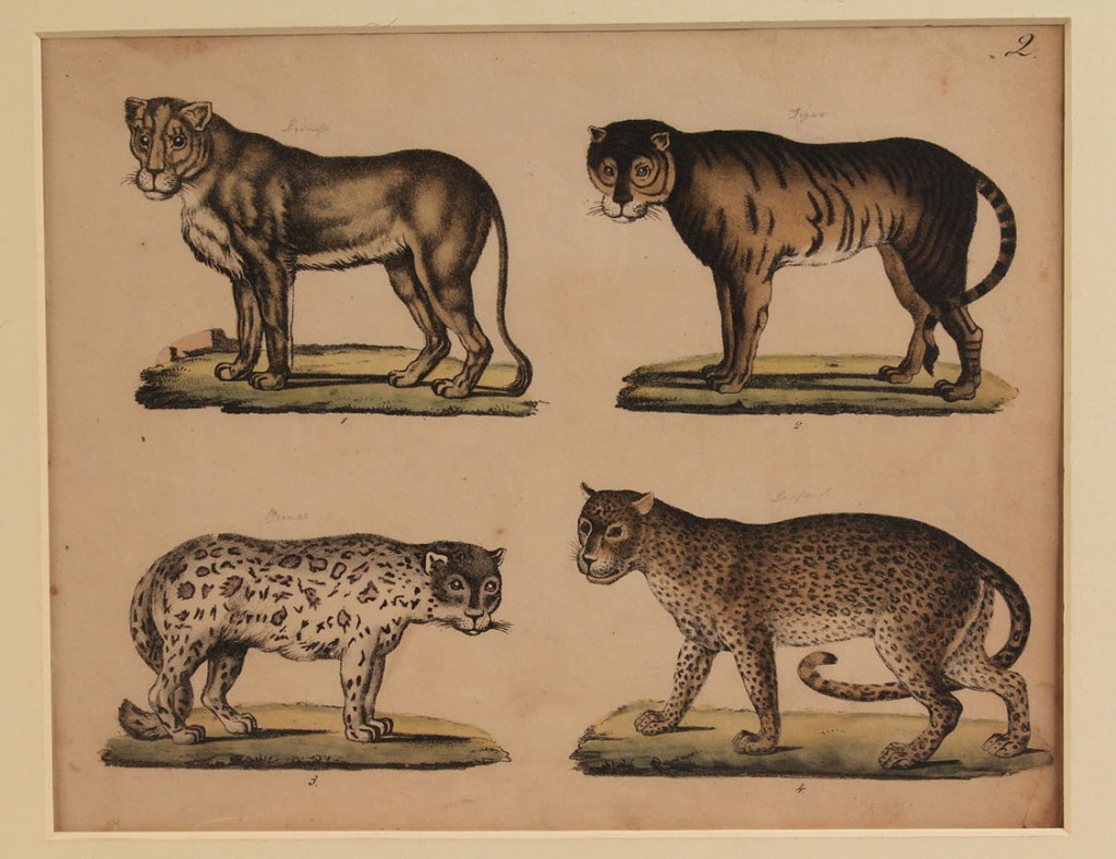 Lot 166: Three 19th Century Cat Engravings
