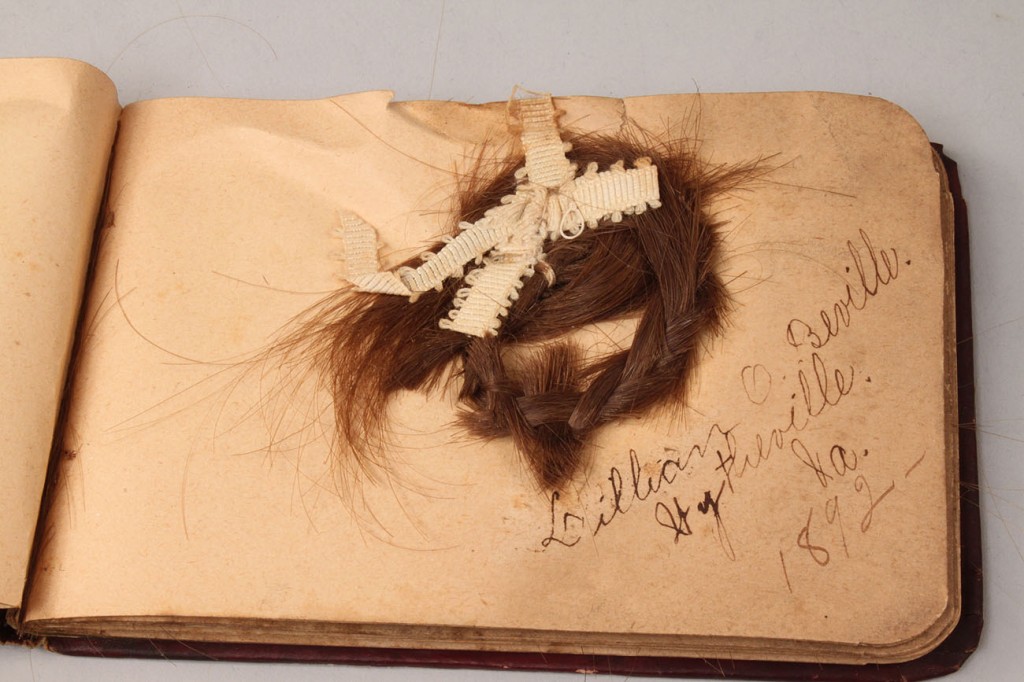 Lot 323: Victorian Hair Album, Southern