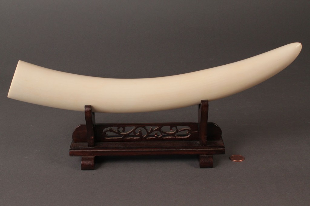 Lot 428: Ivory Tusk on stand