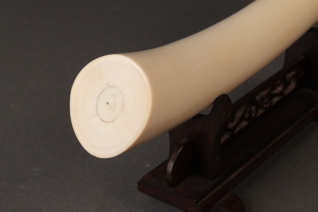 Lot 428: Ivory Tusk on stand