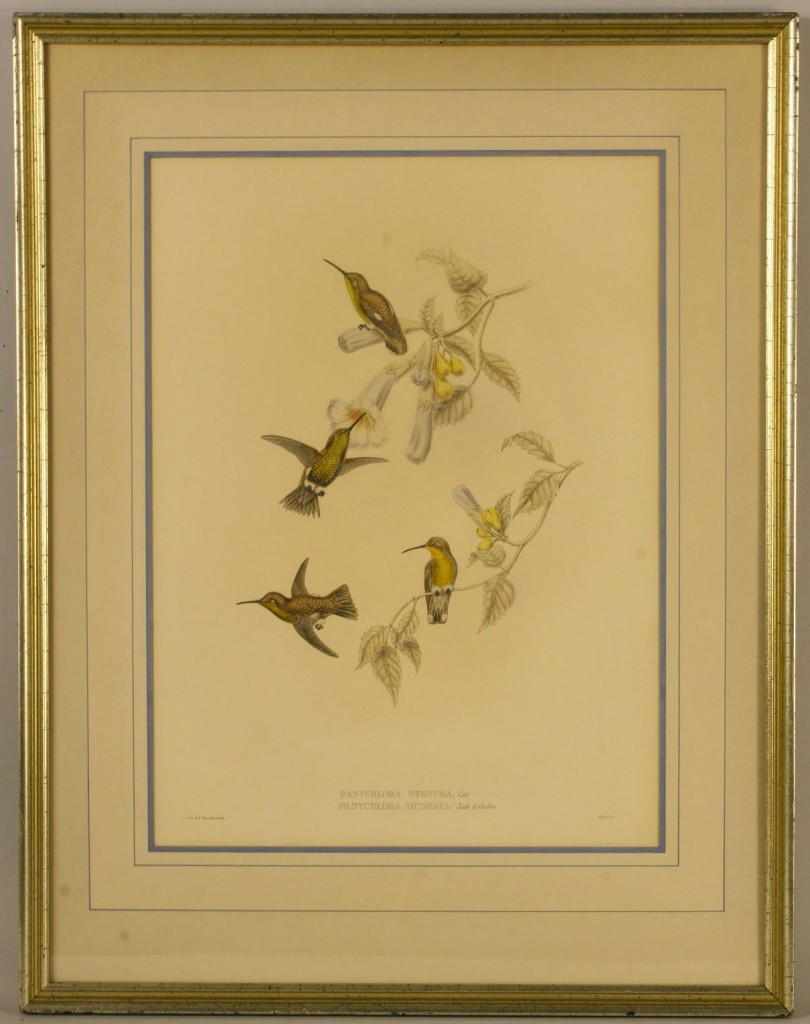 Lot 459: Gould & Hart Hummingbird Lithograph, 19th century