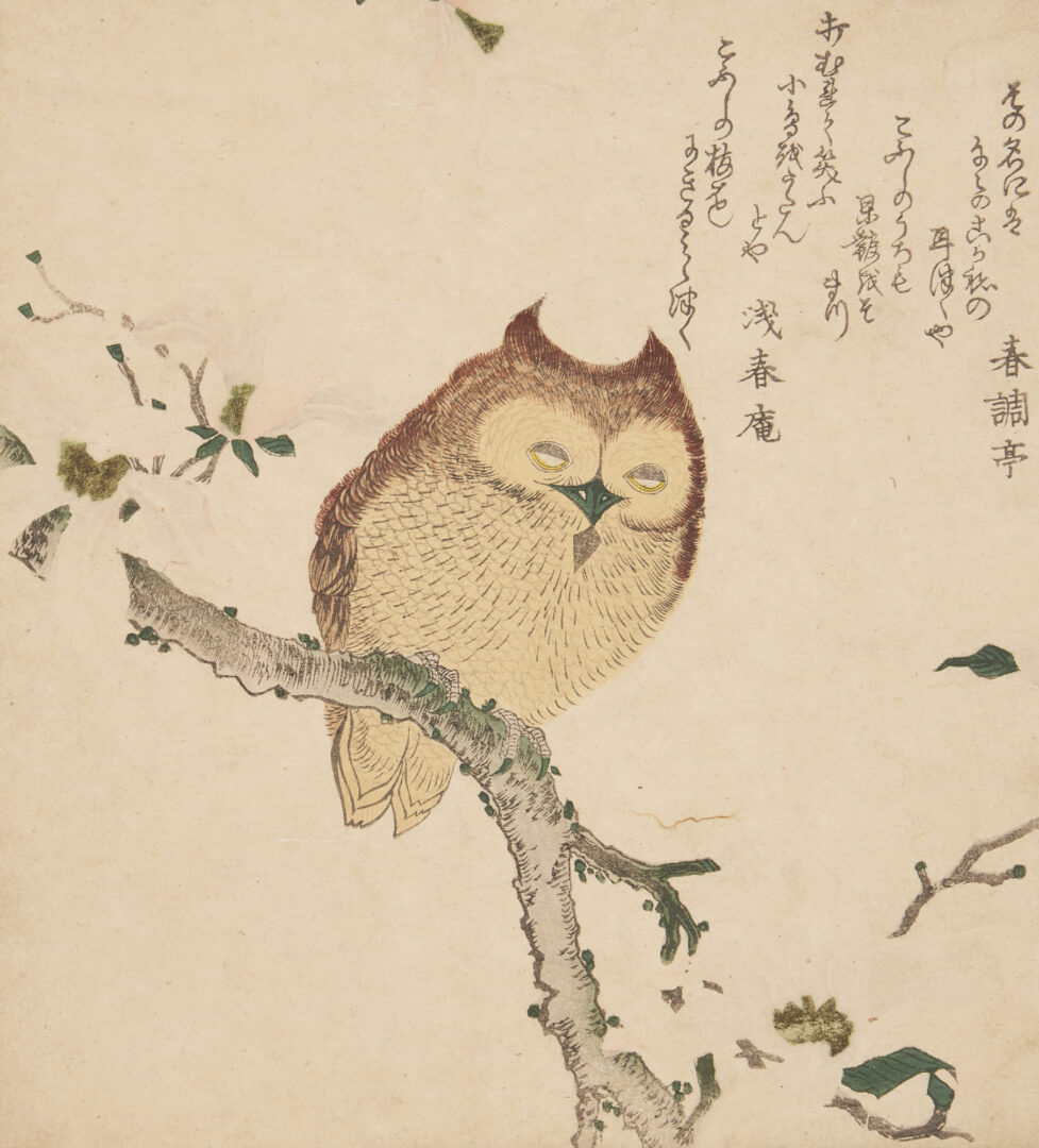 Lot 14: Kubo Shunman Japanese Woodblock Print, Horned Owl on Flowering Branch, c. 1800