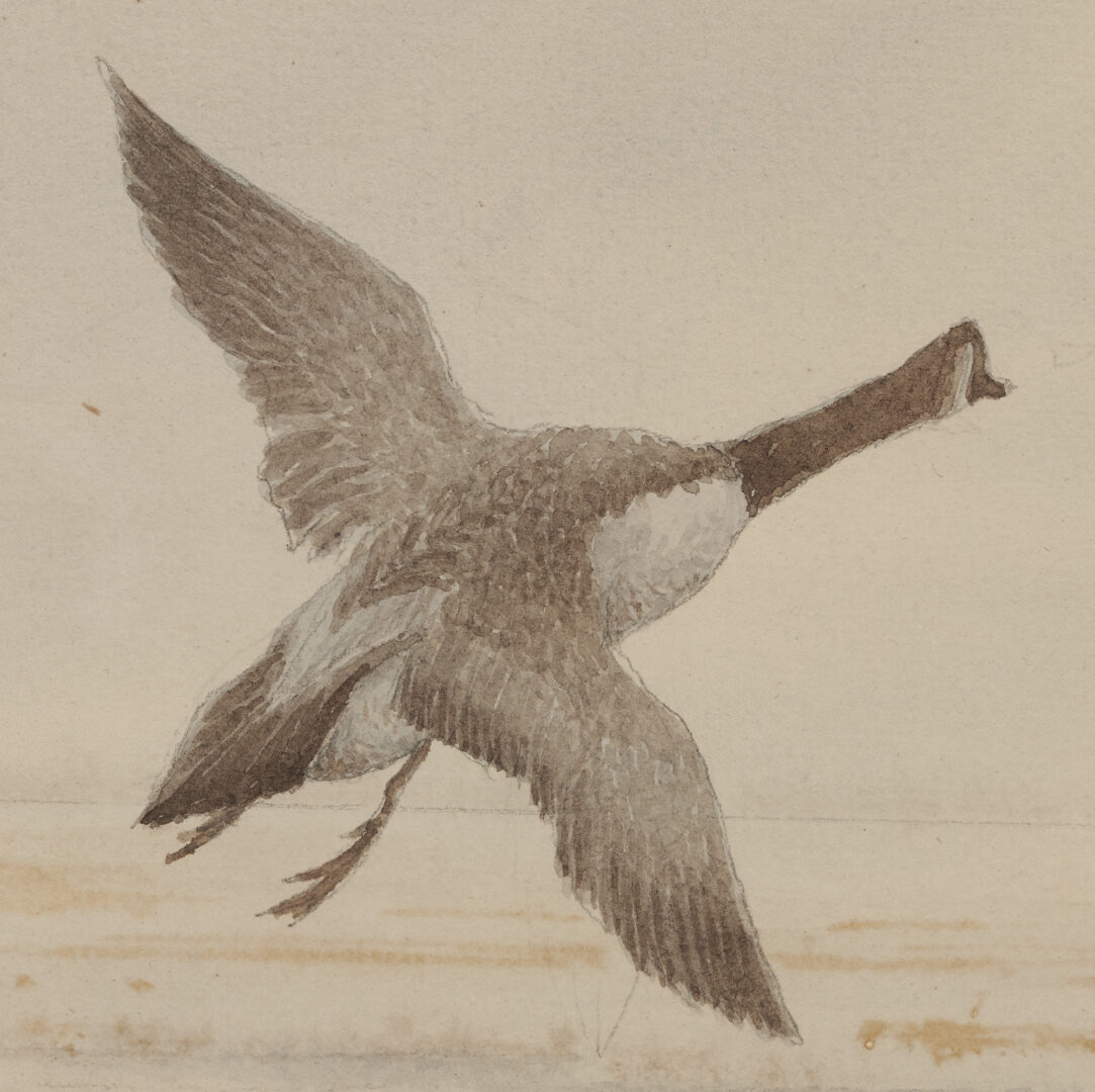 Lot 831: J.D. Knapp Watercolor, Geese in Flight