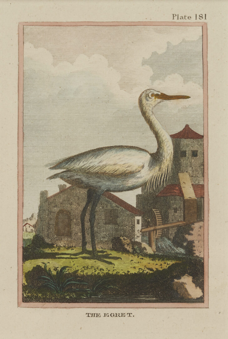 Lot 886: 4 Ornithological Engravings by George L. Comte de Buffon