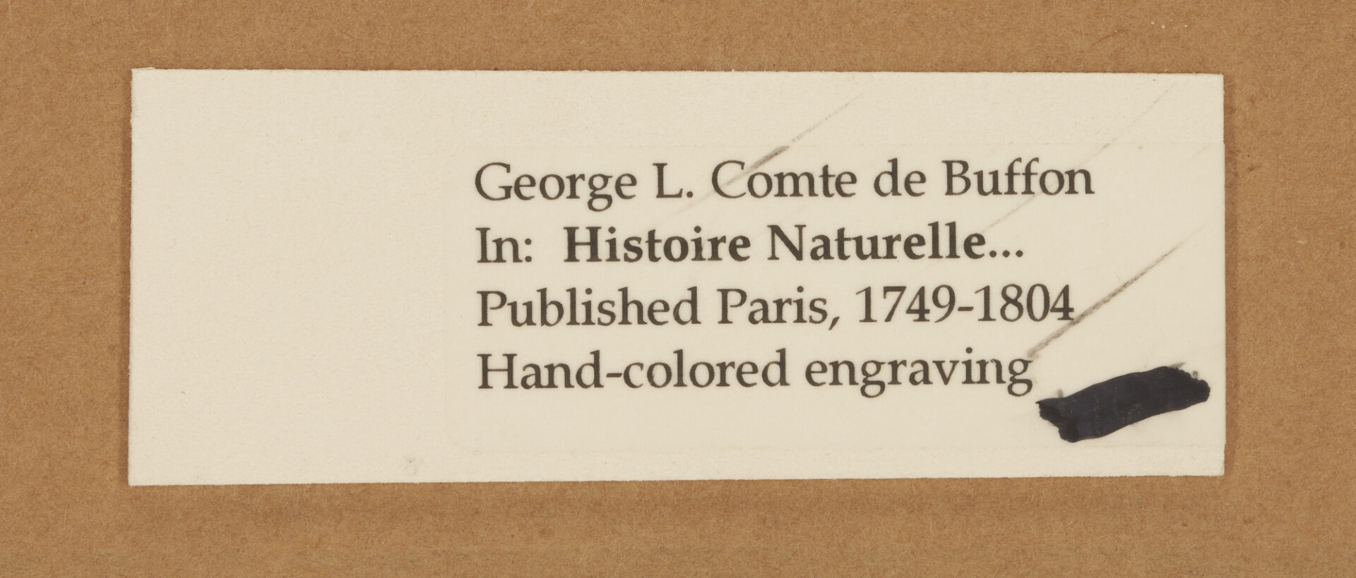 Lot 886: 4 Ornithological Engravings by George L. Comte de Buffon