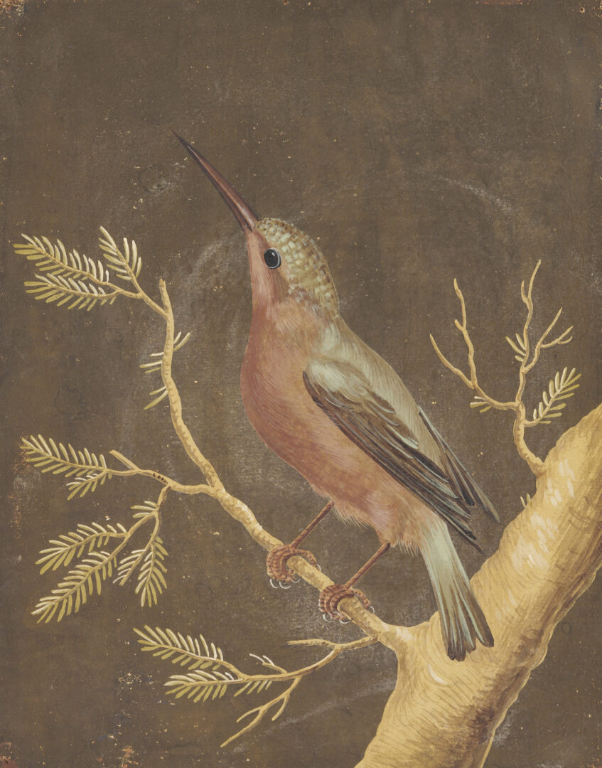 Lot 98: Barbara Regina Dietzsch Painting of Bird on Branch